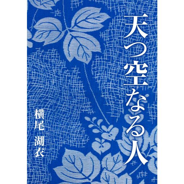 天つ空なる人 電子書籍版 / 横尾湖衣