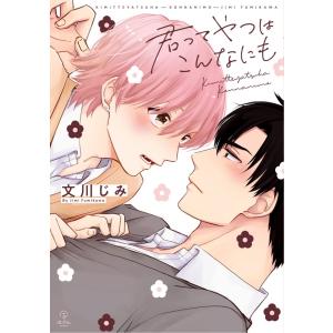 君ってやつはこんなにも【電子限定漫画付き】 電子書籍版 / 文川じみ｜ebookjapan