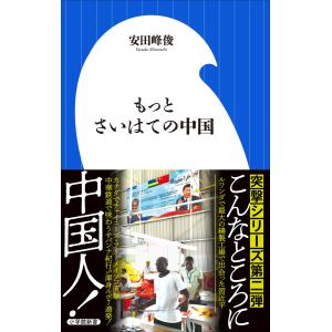 もっとさいはての中国(小学館新書) 電子書籍版 / 安田峰俊｜ebookjapan