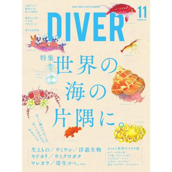 DIVER 2019年11月号 電子書籍版 / DIVER編集部