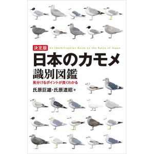 □物理超入門 山田弘 エスカルゴサイエンス 日本実業出版社