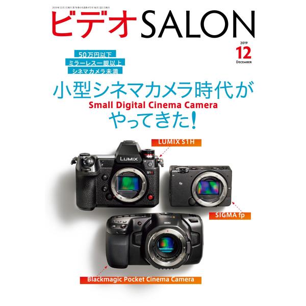 ビデオ SALON (サロン) 2019年 12月号 電子書籍版 / ビデオサロン編集部