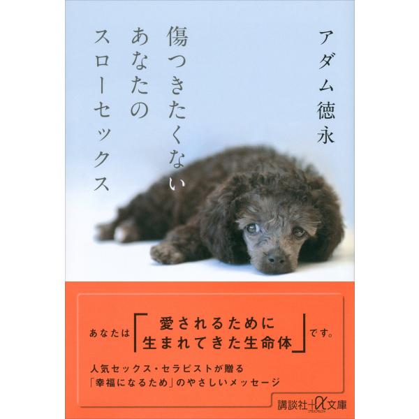 傷つきたくないあなたのスローセックス 電子書籍版 / アダム徳永
