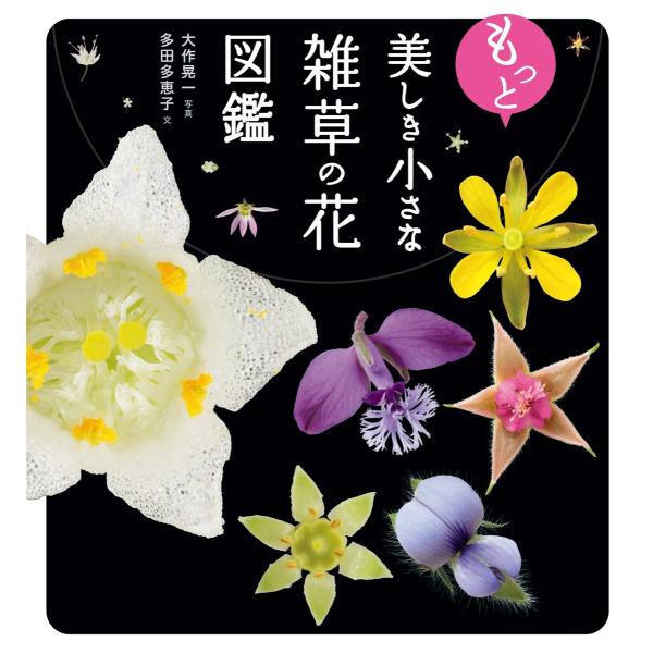 もっと美しき小さな雑草の花図鑑 電子書籍版 / 写真:大作晃一 著:多田多恵子