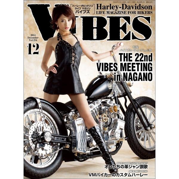 VIBES【バイブズ】2014年12月号 電子書籍版 / VIBES編集部