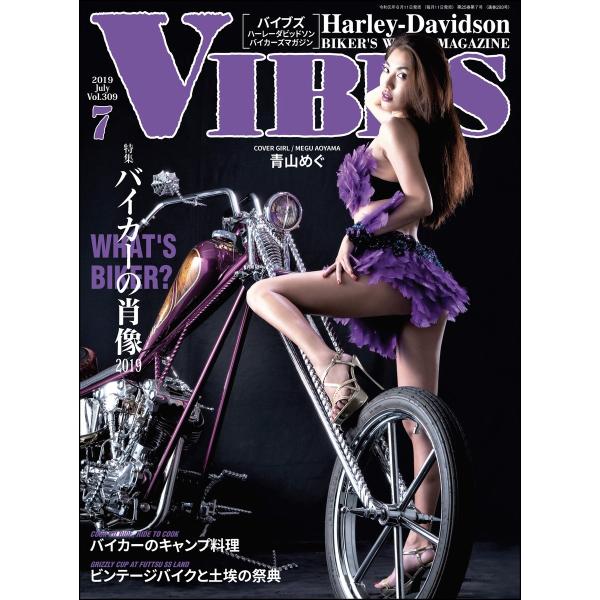 VIBES【バイブズ】2019年7月号 電子書籍版 / VIBES編集部