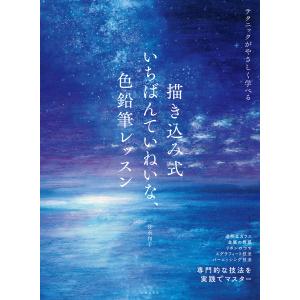 池坊古典いけばなカード 重要文化財指定九十三瓶図 専好の立花 全三巻