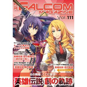 月刊ファルコムマガジン Vol.111 電子書籍版 / ファルコムマガジン編集部