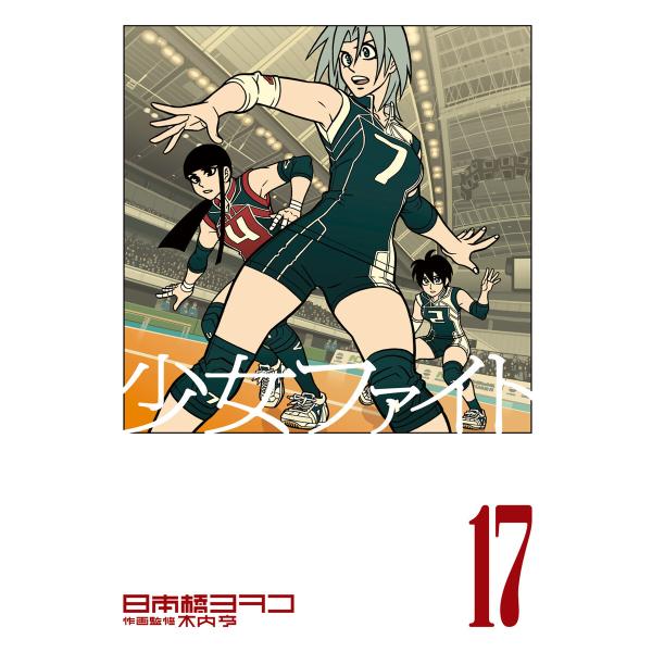 少女ファイト (17) 電子書籍版 / 日本橋ヨヲコ 作画監修:木内亨