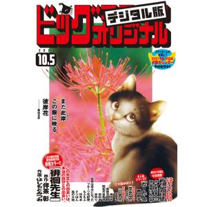 ビッグコミックオリジナル 2020年19号(2020年9月19日発売) 電子書籍版｜ebookjapan
