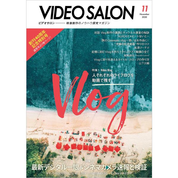 ビデオ SALON (サロン) 2020年 11月号 電子書籍版 / 編集:ビデオSALON編集部