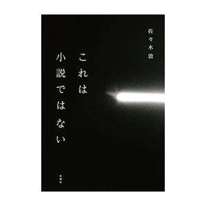 これは小説ではない 電子書籍版 / 佐々木敦