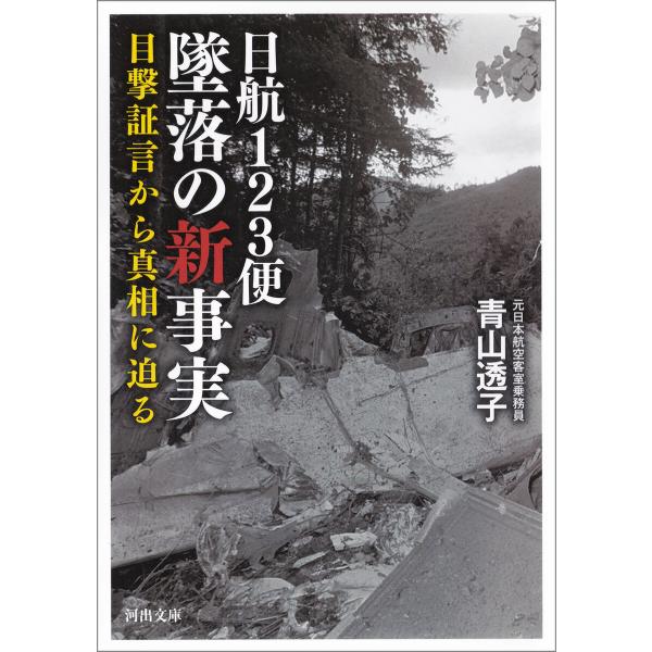 日航123便 墜落の新事実 電子書籍版 / 青山透子