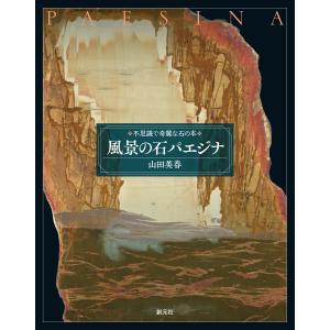 風景の石 パエジナ 電子書籍版 / 山田英春｜ebookjapan