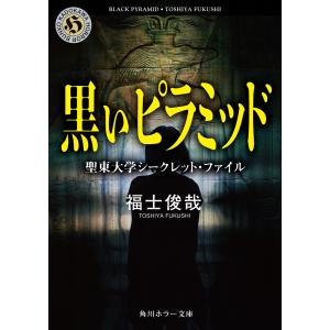 黒いピラミッド 聖東大学シークレット・ファイル 電子書籍版 / 著者:福士俊哉 角川ホラー文庫の本の商品画像