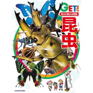 つかめ！理科ダマン 8 「昆虫のふしぎ」を探れ！編 : WINDY BOOKS on
