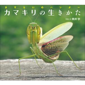 カマキリの生きかた 〜さすらいのハンター〜(小学館の図鑑NEOの科学絵本) 電子書籍版 / 筒井学(写真と文)｜ebookjapan