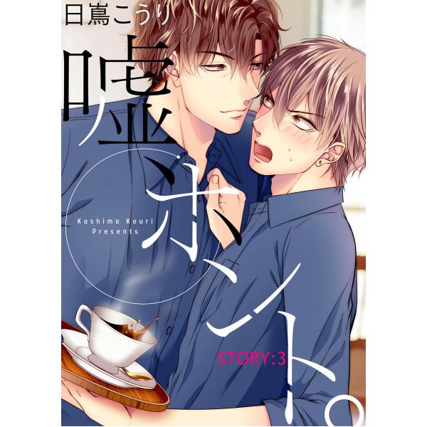 嘘、ホント。 STORY:3 電子書籍版 / 著:日嶌こうり