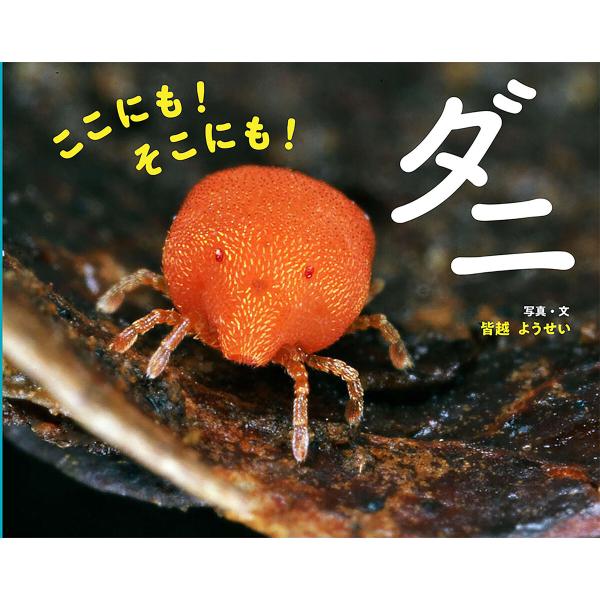 ここにも! そこにも! ダニ 電子書籍版 / 写真・文:皆越ようせい