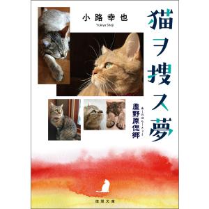 猫ヲ捜す夢 蘆野原偲郷 電子書籍版 / 著:小路幸也