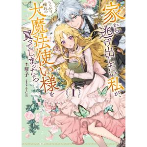 家から逃げ出したい私が、うっかり憧れの大魔法使い様を買ってしまっ