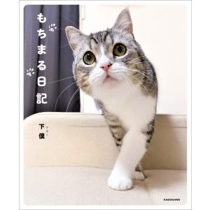 Ebookjapan 動物 写真集 Yahoo ショッピング