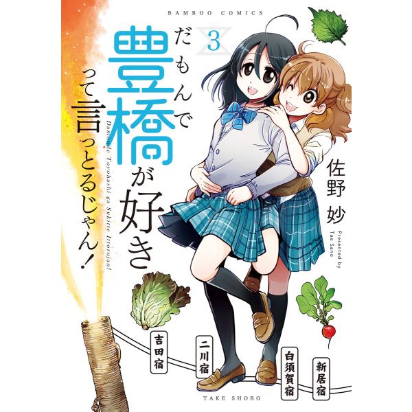 だもんで豊橋が好きって言っとるじゃん! (3) 電子書籍版 / 著:佐野妙