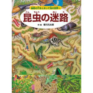 昆虫の迷路 秘密の穴をとおって虫の世界へ/香川元太郎/小野展嗣