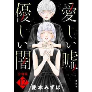 愛しい嘘 優しい闇 分冊版 (12) 電子書籍版 / 愛本みずほ