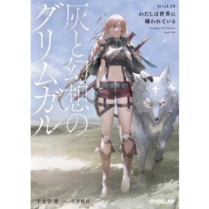 灰と幻想のグリムガル level.17/十文字青 : bookfanプレミアム - 通販