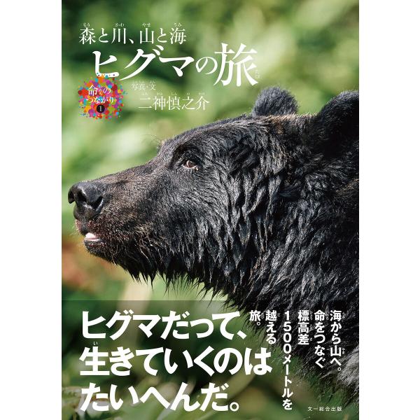 ヒグマの旅 電子書籍版 / 二神 慎之介