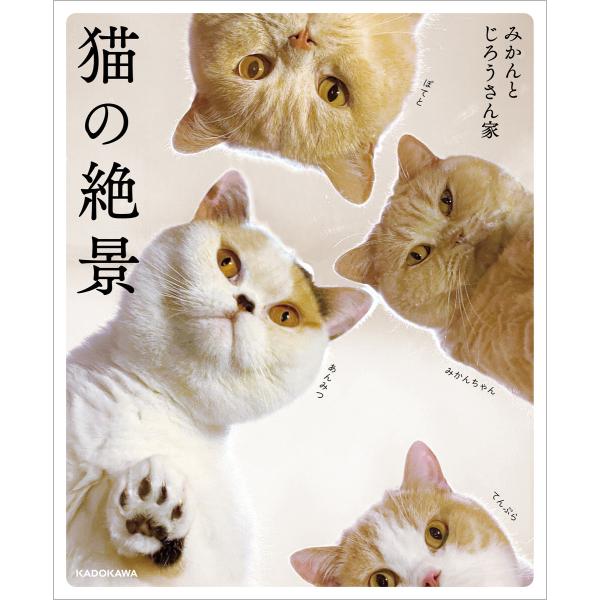 猫の絶景 電子書籍版 / 著者:みかんとじろうさん家