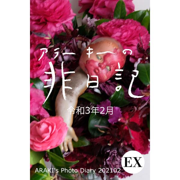 exアラーキーの非日記 令和3年2月 ARAKI’s Photo Diary 202102 電子書籍...
