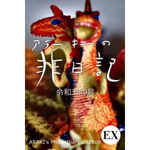 EXアラーキーの非日記 令和3年9月 ARAKI’s Photo Diary 202109 電子書籍版 / 写真家:荒木経惟｜ebookjapan