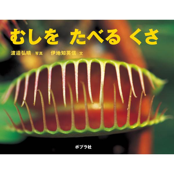 むしを たべる くさ 電子書籍版 / 写真:渡邉弘晴 文:伊地知英信