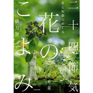 新品 / マジック・ツリーハウスセット (全54冊) 全巻セット : 漫画全巻