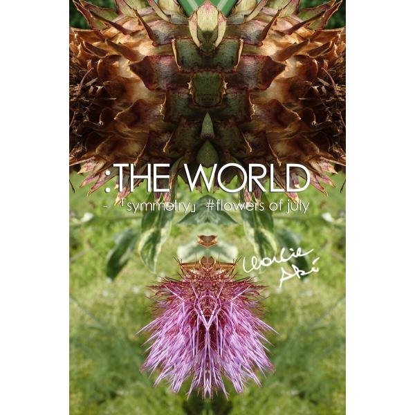 :THE WORLD - 「symmetry」#flowers of july 電子書籍版 / 写真...