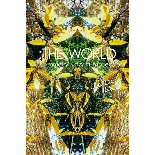 :THE WORLD - 「symmetry」#Autumn leaves 電子書籍版 / 写真家:...