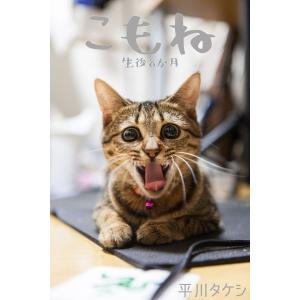 こもね〜生後8か月〜 電子書籍版 / モデル:こもね 写真家:平川タケシ
