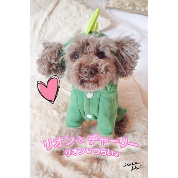 リオンとチャーリー #2リオンはつらいょ 電子書籍版 / モデル:リオン 写真家:チャーリー・アキ