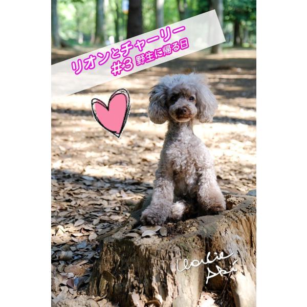 リオンとチャーリー #3野生に帰る日 電子書籍版 / モデル:リオン 写真家:チャーリー・アキ