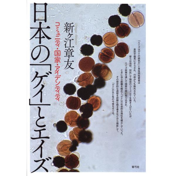 日本の「ゲイ」とエイズ: コミュニティ・国家・アイデンティティ 電子書籍版 / 新ヶ江 章友