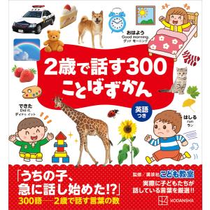 講談社（kodansha） 中古 カメレオン 1〜47巻 漫画 全巻セット 週刊