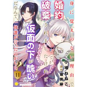 身に覚えのない理由で婚約破棄されましたけれど、仮面の下が醜いだなんて、一体誰が言ったのかしら?(11) 電子書籍版