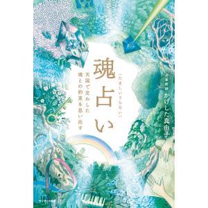 地球の歩き方 aruco インド 2026〜2027 : 枚方 蔦屋書店 Yahoo!店
