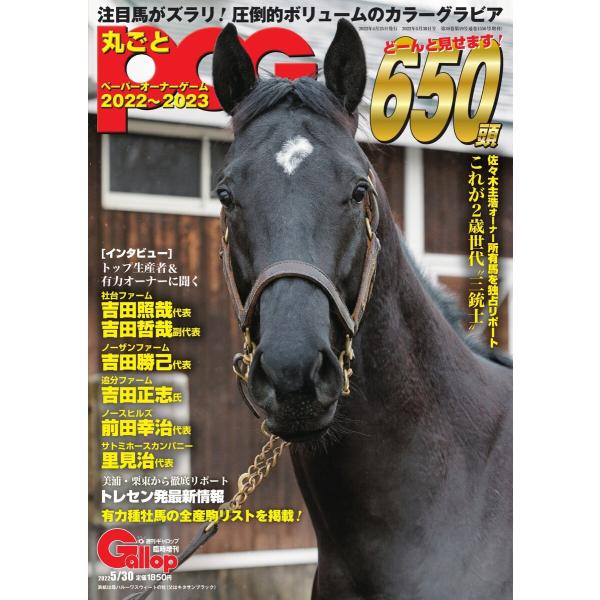週刊Gallop(ギャロップ) 臨時増刊 丸ごとPOG 2022〜2023 電子書籍版