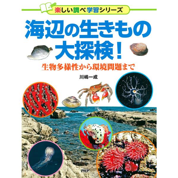海辺の生きもの大探検! 電子書籍版 / 川嶋一成(著)