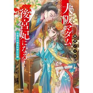 大阪マダム、後宮妃になる! 四題目は銀朱科挙立志編 電子書籍版 / 田井ノエル(著)/カズアキ(イラスト)｜ebookjapan