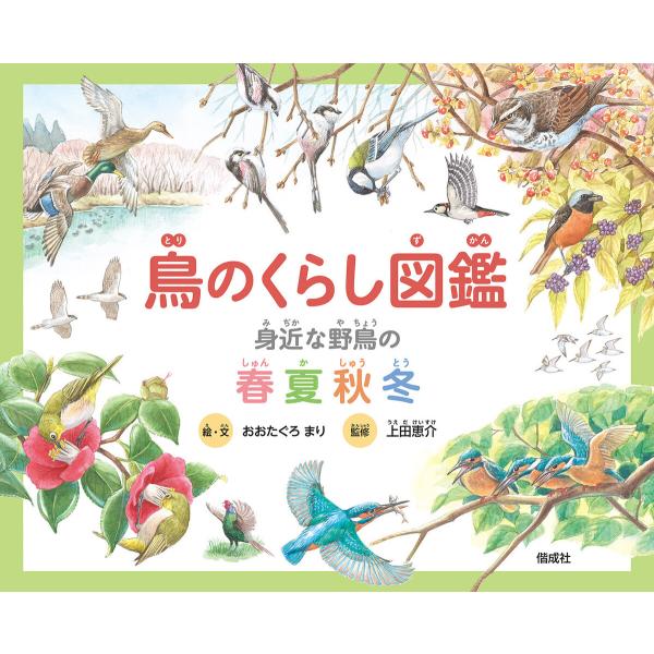 鳥のくらし図鑑 電子書籍版 / 著:おおたぐろまり 監修:上田恵介