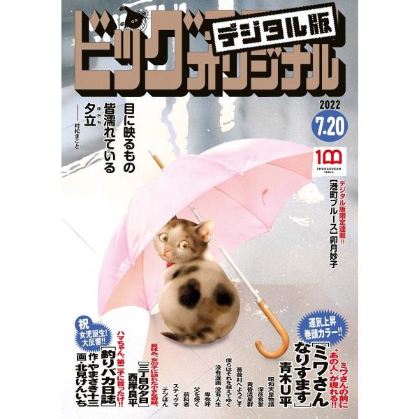 ビッグコミックオリジナル 2022年14号(2022年7月5日発売) 電子書籍版
